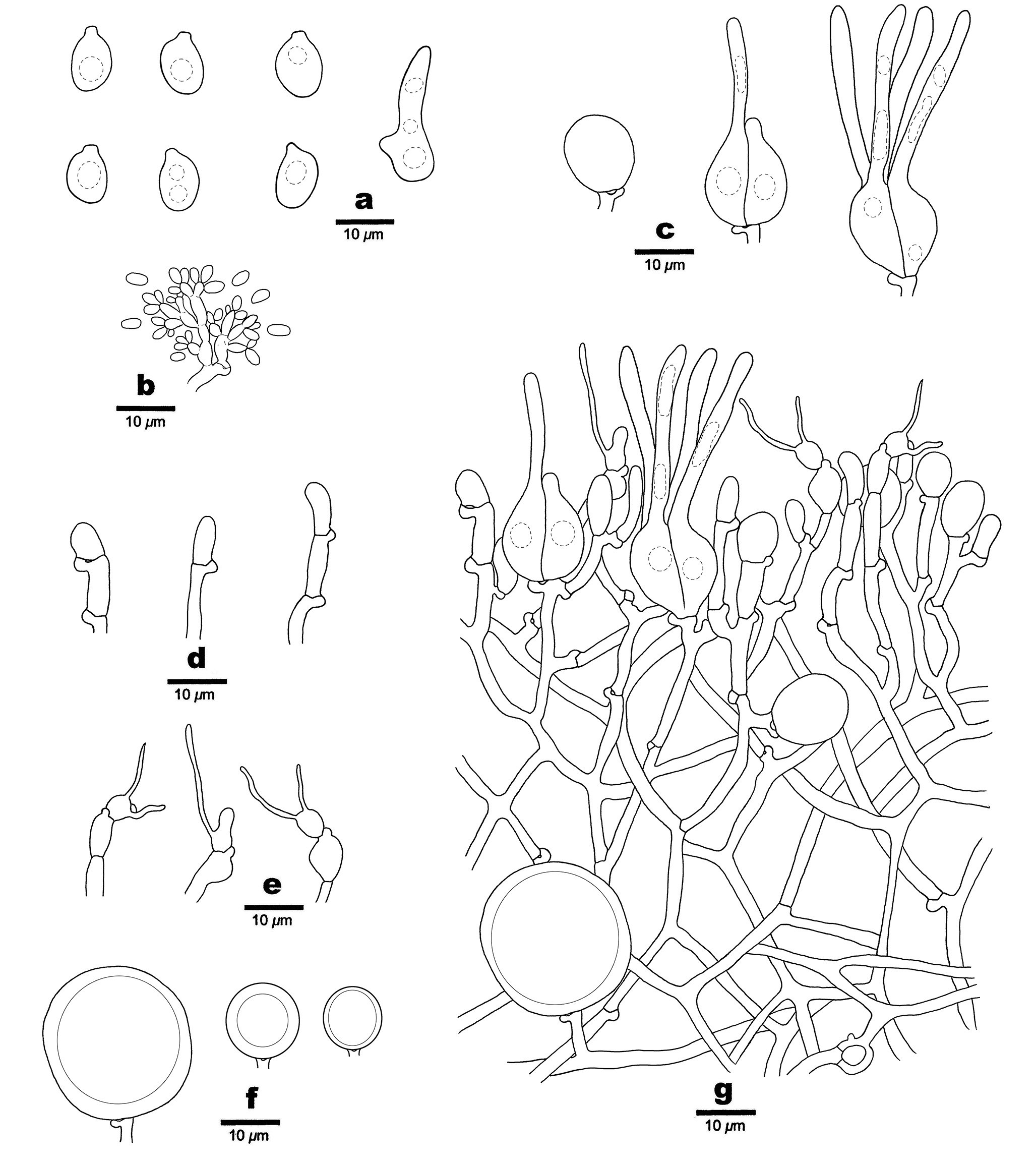 Figure 67